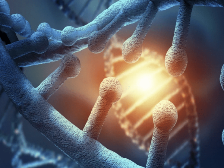 Regenerative Medicine
