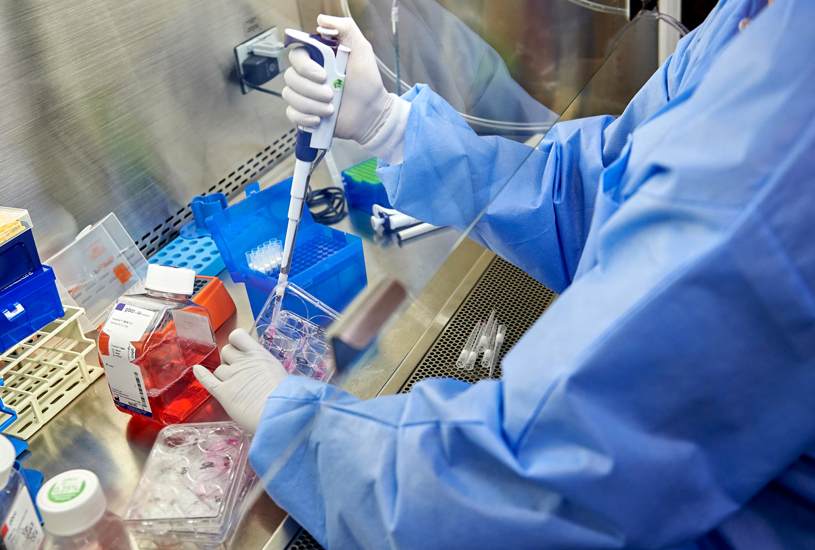 Lab Analysis