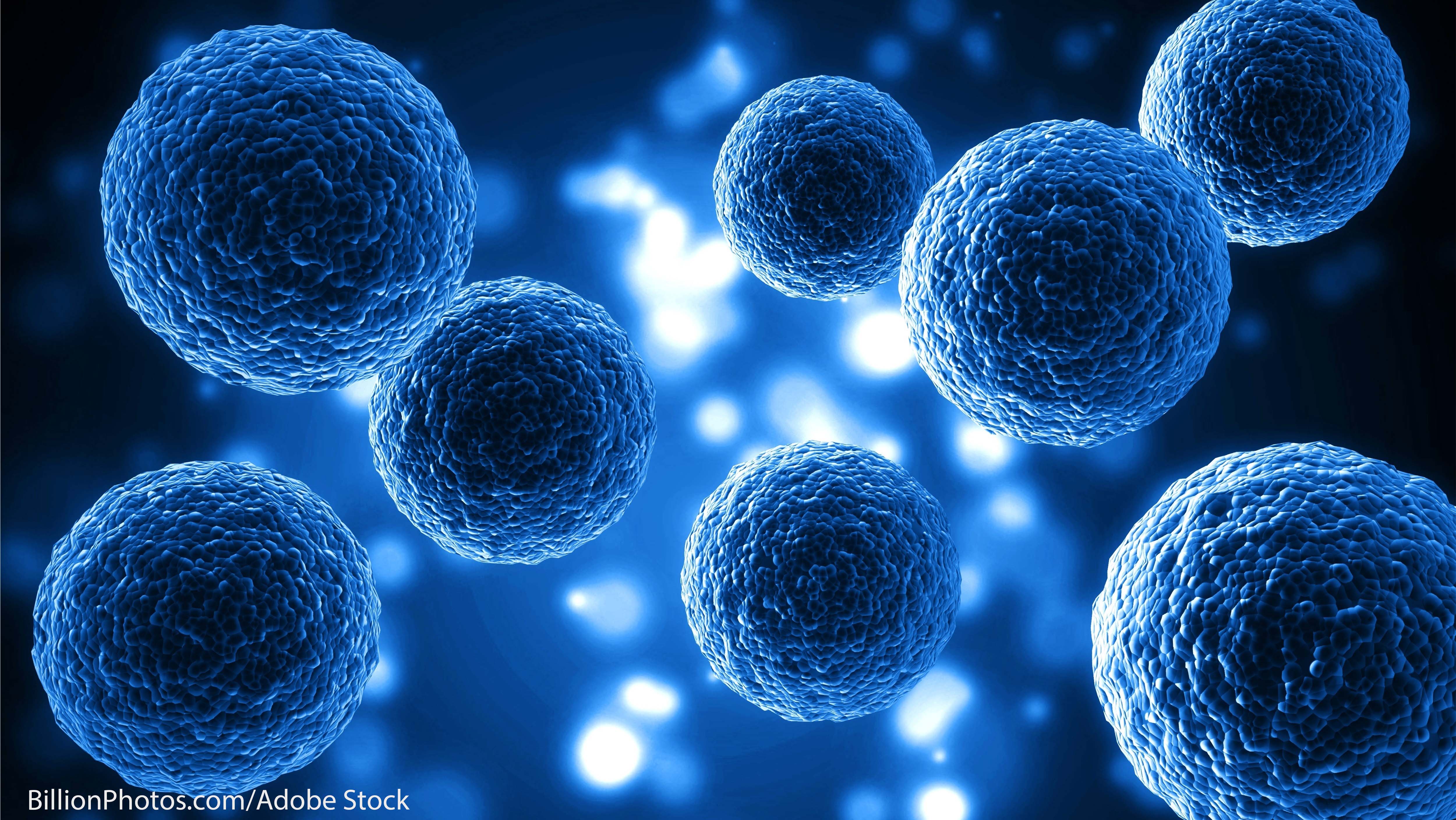 Stem Cell Research