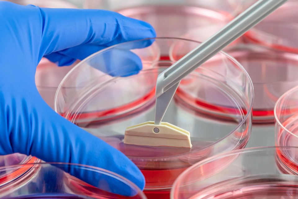Tissue Engineering